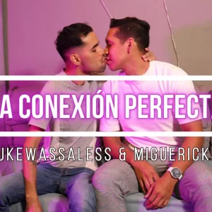La Conexión Perfecta
