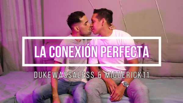 La Conexión Perfecta
